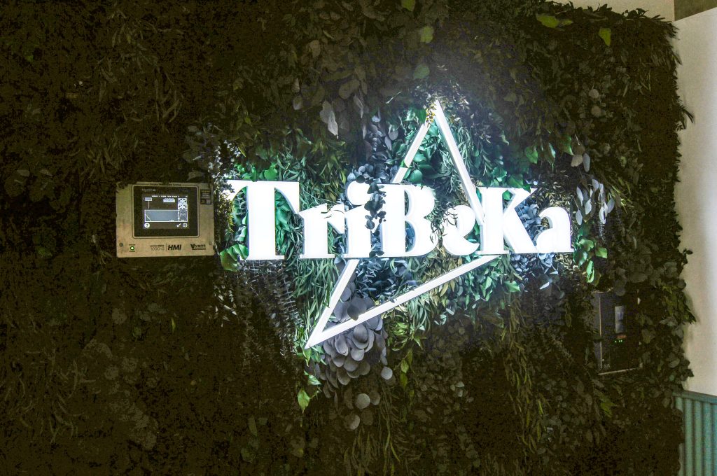 Illuinated Tribeka text fitted within a living moss wall